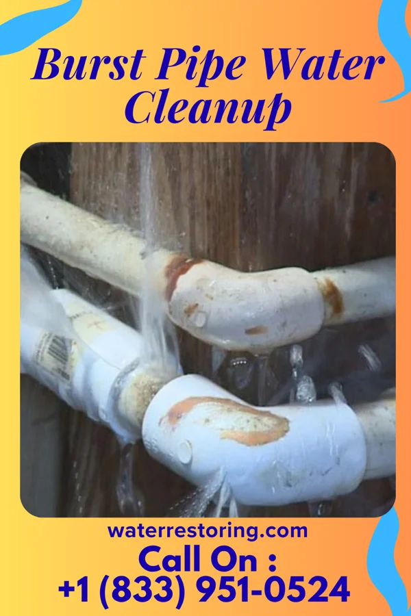 Burst Pipe Water Cleanup in WaKeeney, KS