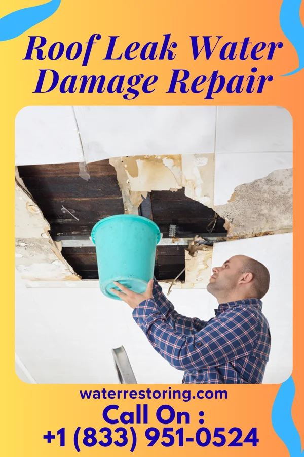 Roof Leak Water Damage Repair in WaKeeney, KS